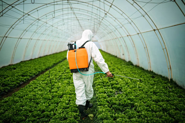 Best Pest Control for Businesses  in Mexico Beach, FL