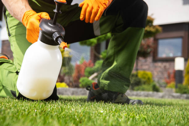 Best Affordable Pest Control Services  in Mexico Beach, FL