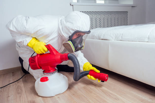 Best Emergency Pest Control  in Mexico Beach, FL