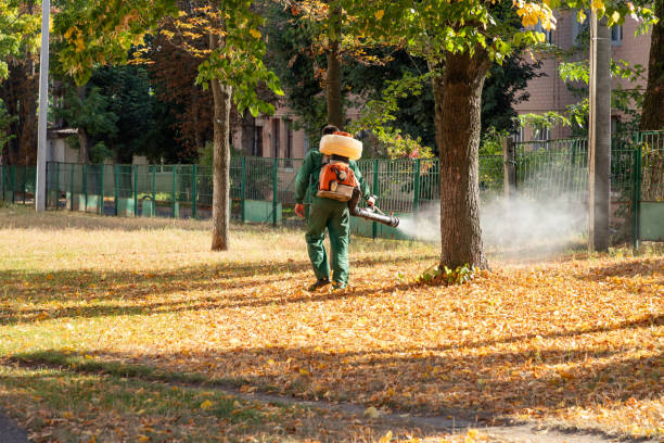 Best Commercial Pest Control Services  in Mexico Beach, FL